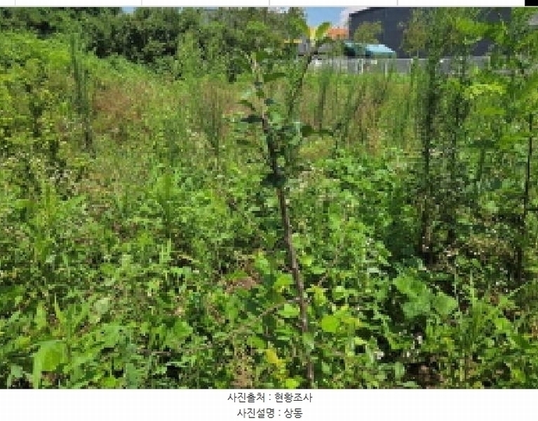 2025타경11880 충청남도 천안시 서북구 성환읍 율금리 500 과수원 경매 이미지