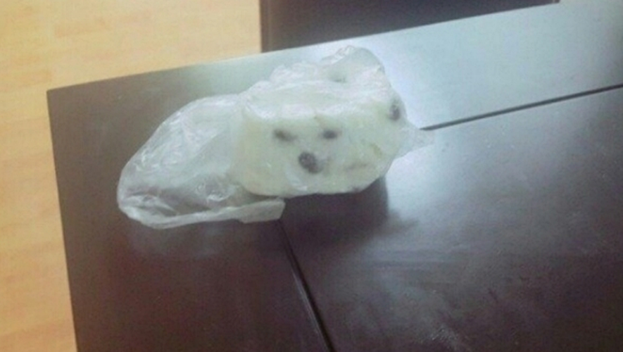 주인님 그놈은 가짜에요...