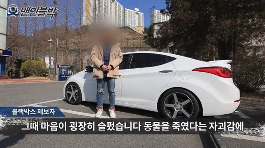 고속도로에서 로드.킬 당할 뻔한 강아지
