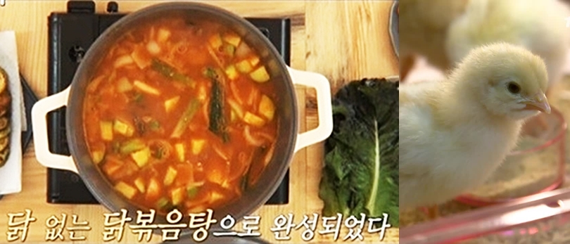 홍철없는 홍철팀? '닭없는 닭볶음탕'으로 마무리 된 식량일기