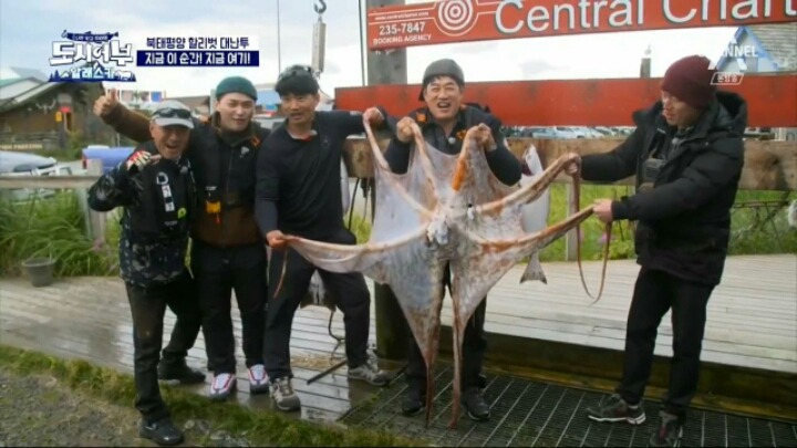 도시어부, '용족' 이경규가 돌아왔다 "12kg역대급 대왕문어"