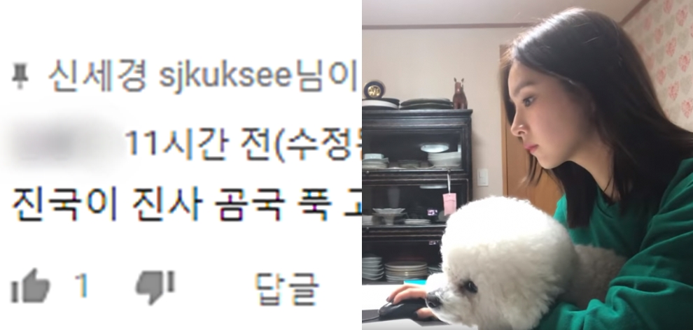 신세경, 반려견 영상에 "푹 고아 끓여 먹으면..." 댓글 달리자 한 대처