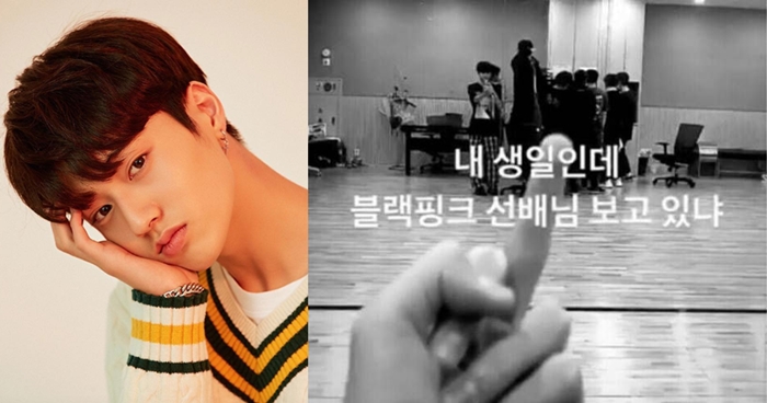 YG 신인 '트레저' 멤버 하루토, 비공개 SNS에 멤버들 향해 '손가락 욕' 들통