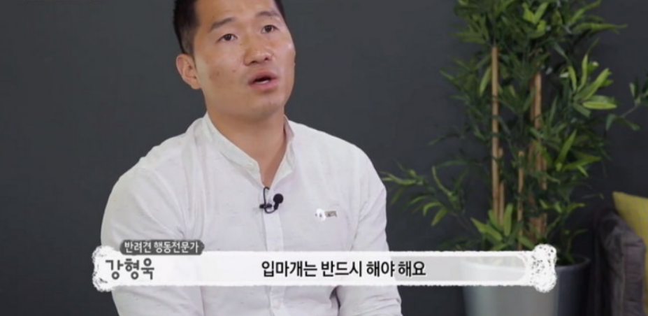 "강아지 뺏어와야 한다" 강형욱, 아이 물어뜯은 말라뮤트 견주 비판
