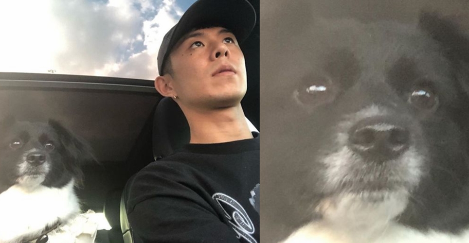 유기견 '꼬미' 입양한 빈지노, 닮은 꼴 화제
