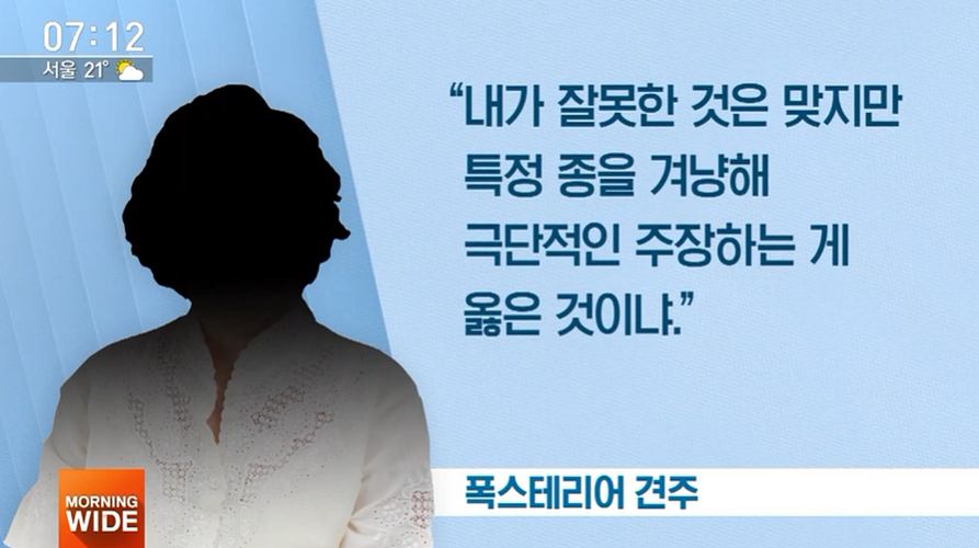 폭스테리어 견주 "잘못 있지만 안락사 생각 절대 없다"