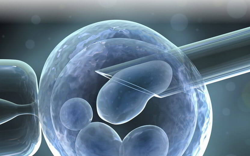 체외수정으로 임신한 부부, 아이 낳아보니 '다른 인종'...결국 양육권 포기