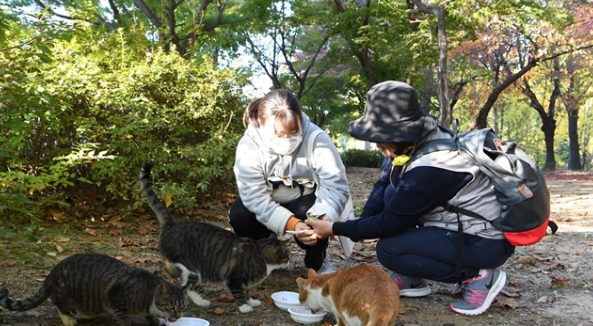 자영업 시작했더니 생각보다 많이 출몰하는 빌런 모음집