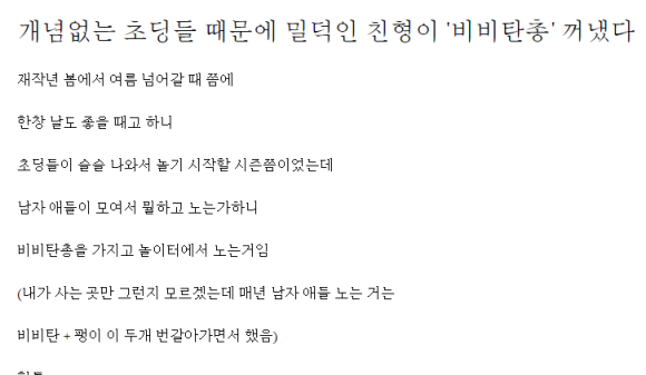 개념없는 초딩들 때문에 밀덕인 친형이 '비비탄총' 꺼냈다